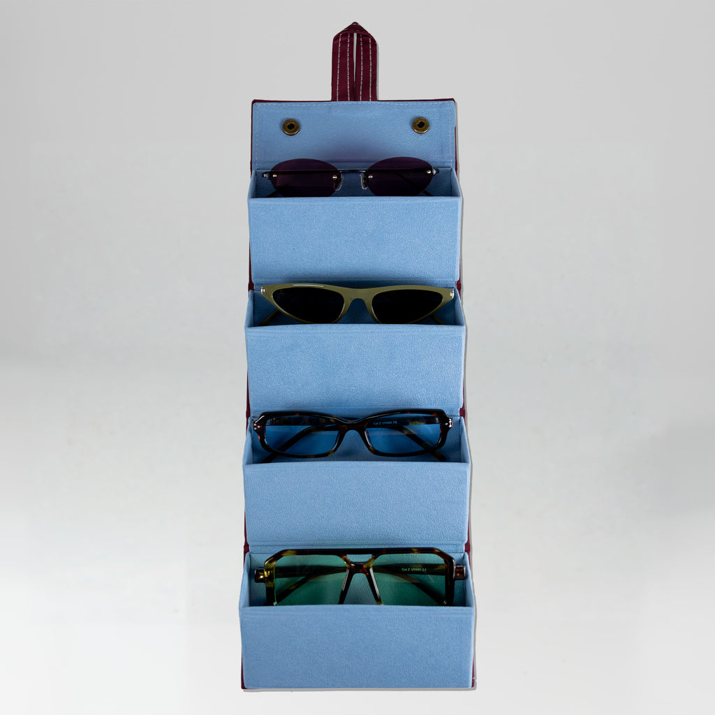 the travel sunglasses organiser