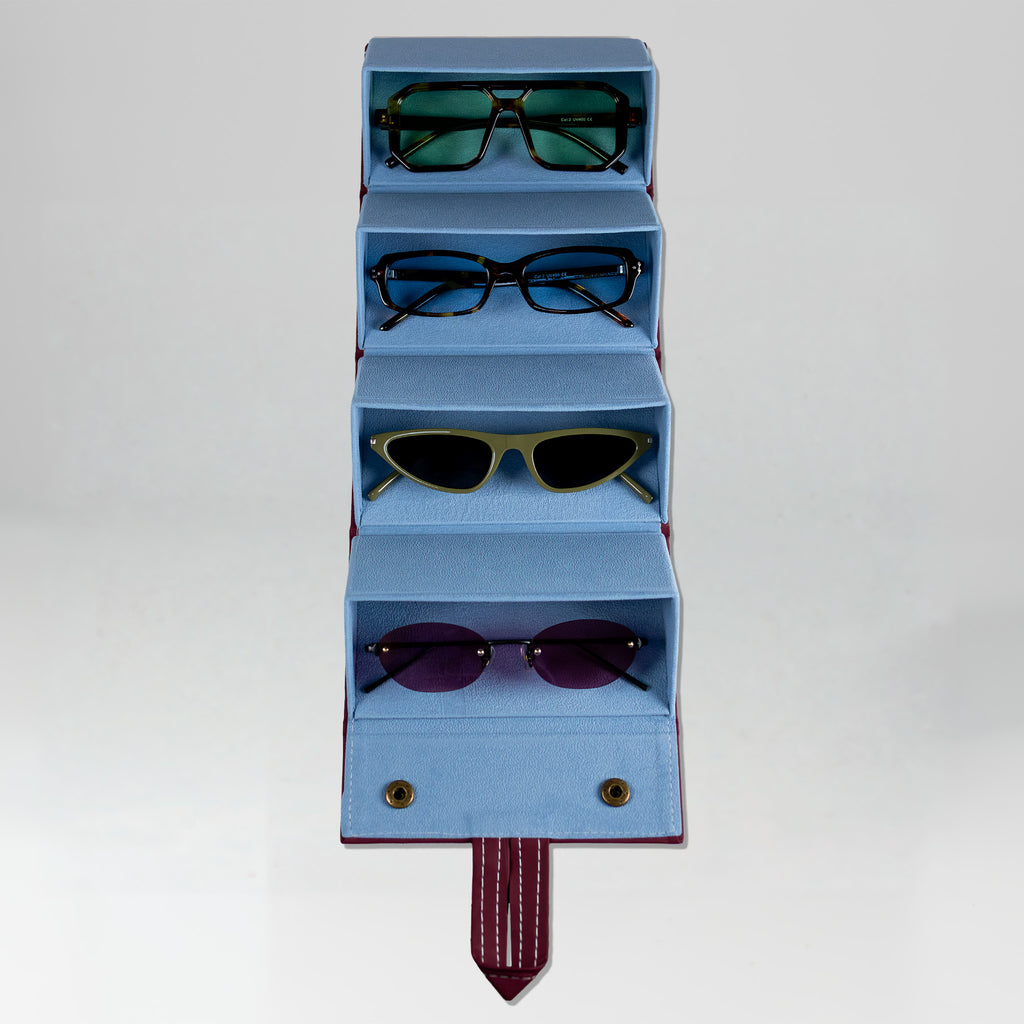 the travel sunglasses organiser