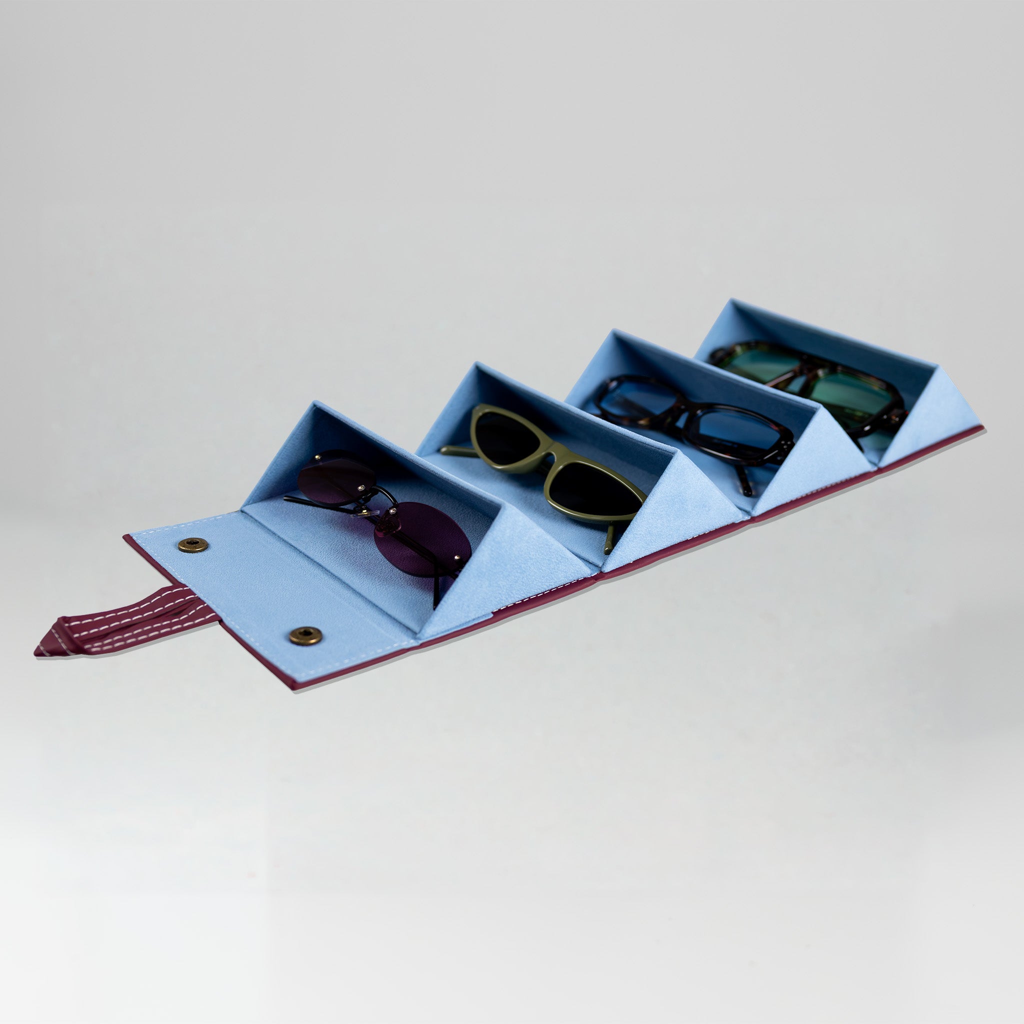 the travel sunglasses organiser