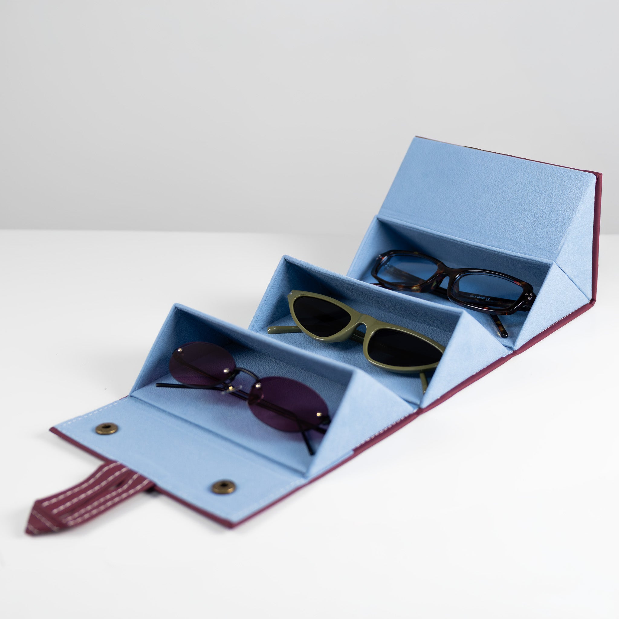 the travel sunglasses organiser