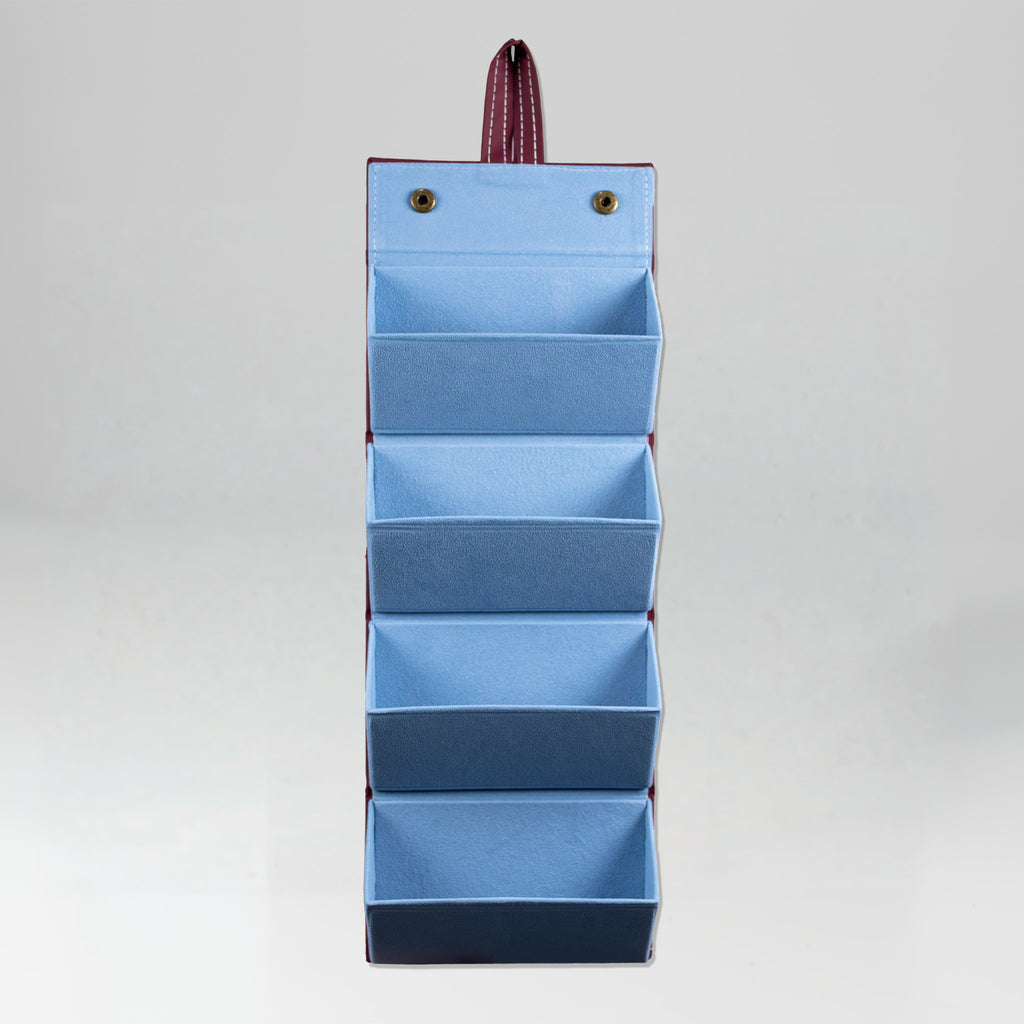 the travel sunglasses organiser
