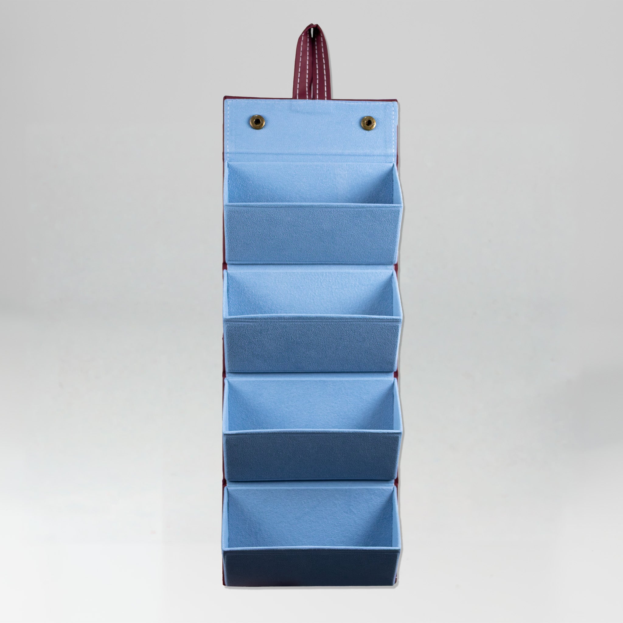 the travel sunglasses organiser