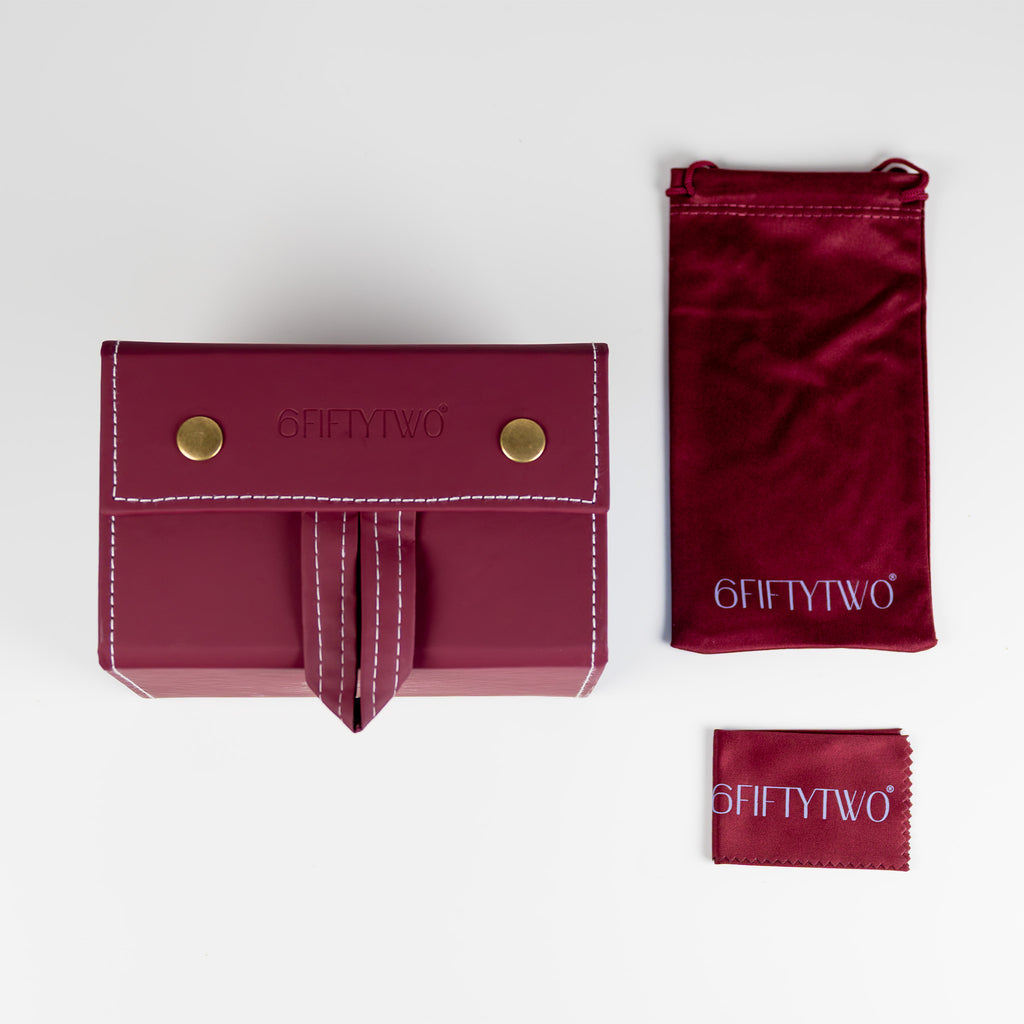 the travel sunglasses organiser