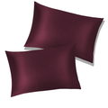 two queen-sized dream silk pillowcases