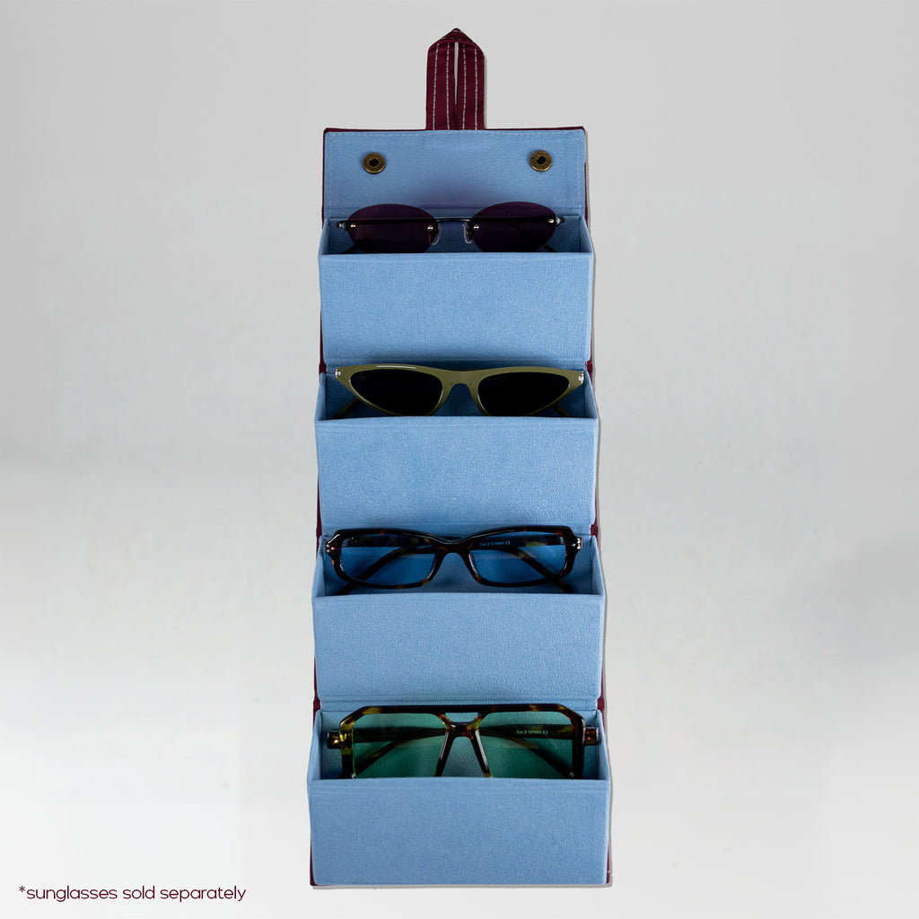 the travel sunglasses organiser