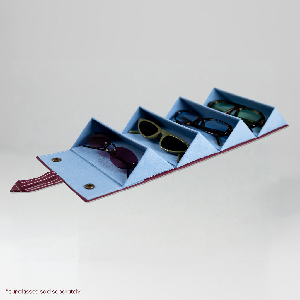 the travel sunglasses organiser