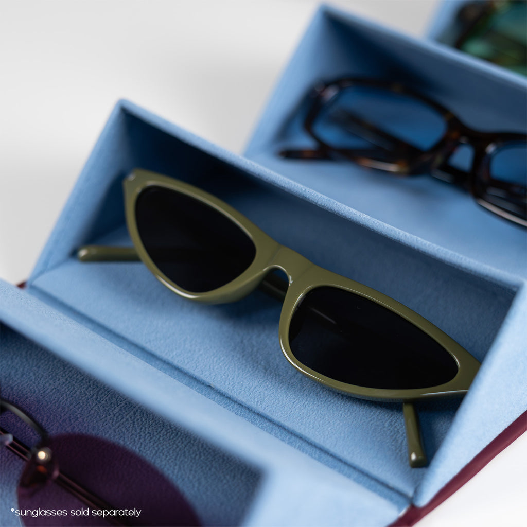 the travel sunglasses organiser