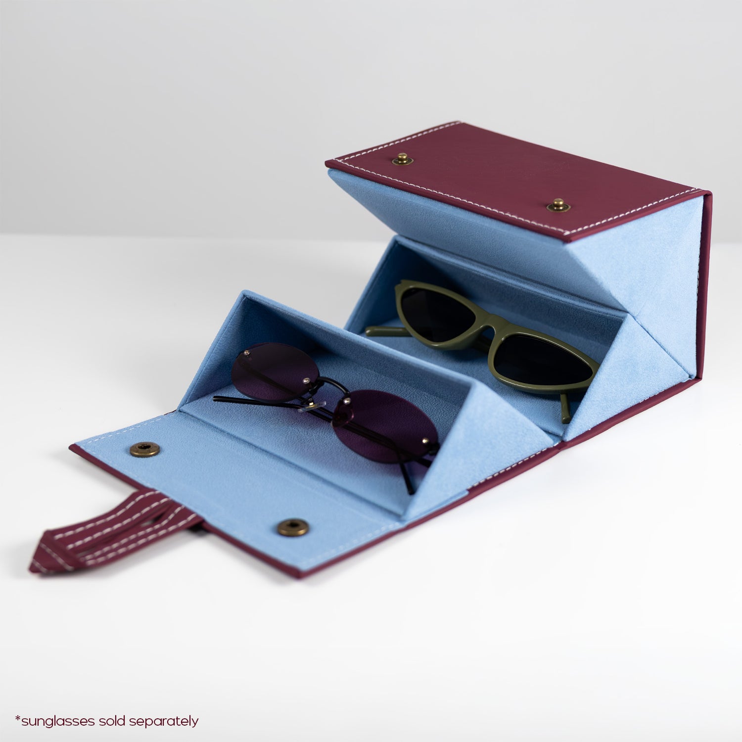 the travel sunglasses organiser