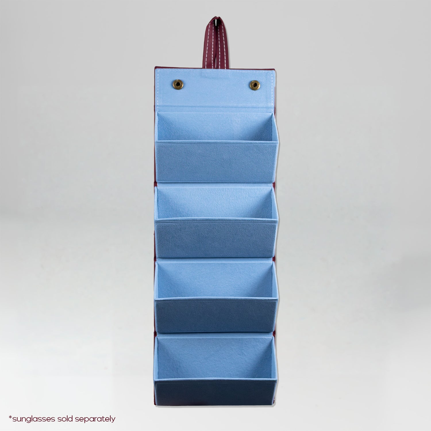 the travel sunglasses organiser