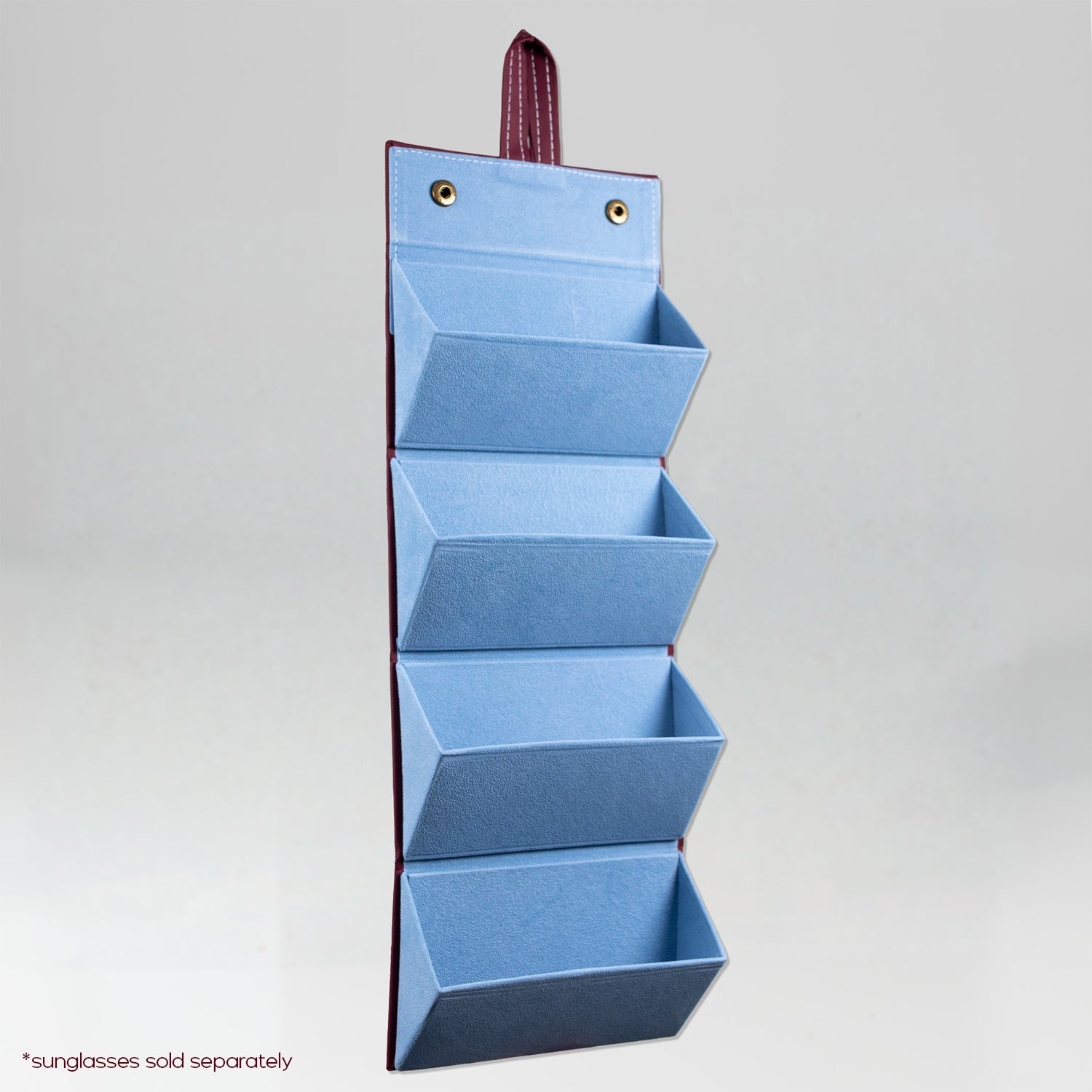 the travel sunglasses organiser